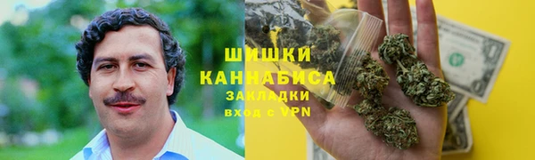 прущие грибы Алзамай