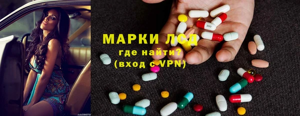 прущие грибы Алзамай