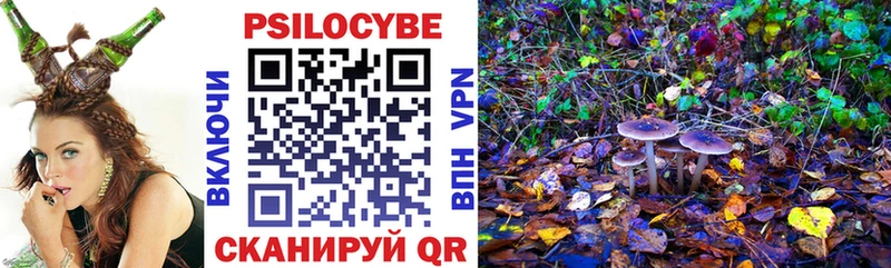 Псилоцибиновые грибы MAGIC MUSHROOMS  дарнет шоп  Жуков 